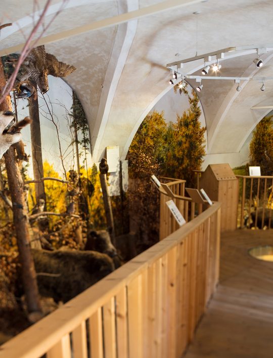 Schloss Lackenbach der Natur auf der Spur Ausstellung