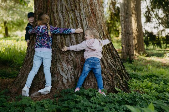 Kinder umarmen einen Baum