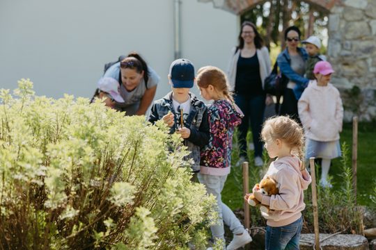 Kinder hinter einem Busch in Lackenbach