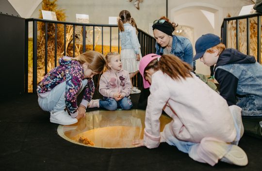 Kinder bei einer Führung im Schloss Lackenbach, schauen die Ausstellungsstücke an
