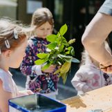 Kinder basteln mit Naturmaterialien