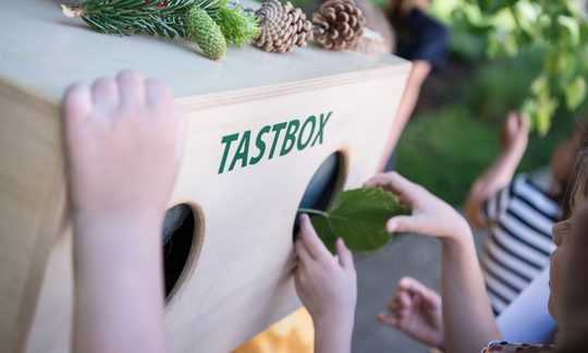 Tastbox