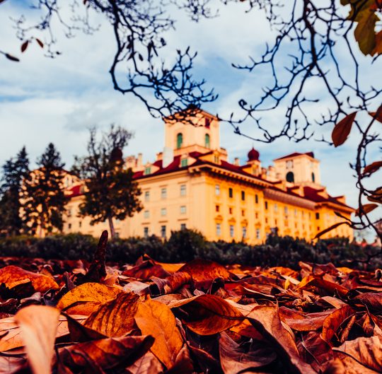 Schloss Esterházy im Herbst