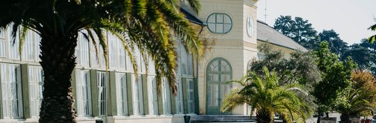 Palmen vor Orangerie