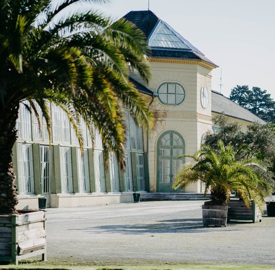 Palmen vor Orangerie