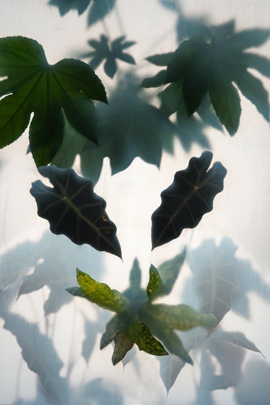 Leuchtbox von Dorottya Vékony, 2026