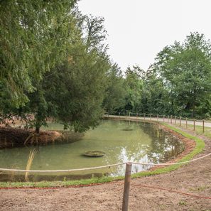 Herzerlteich