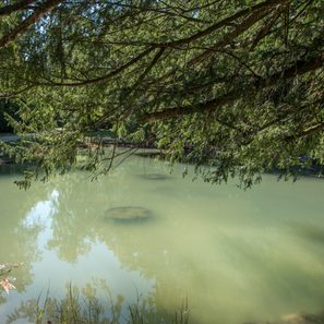 Herzerlteich