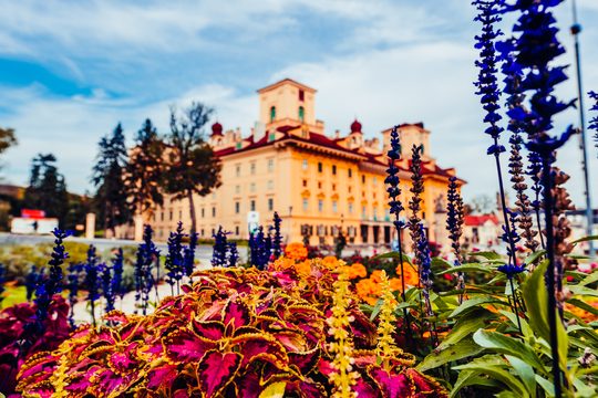 Blumen vor Schloss Esterházy