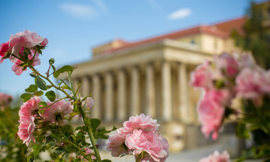 Blumen mit Portikus im Hintergrund