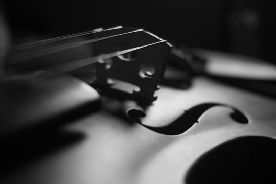 Ein schwarz-weißes Detailfoto einer Geige.