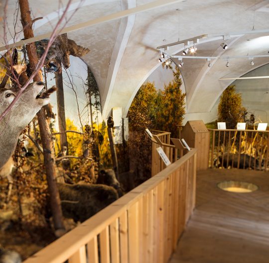 Schloss Lackenbach der Natur auf der Spur Ausstellung