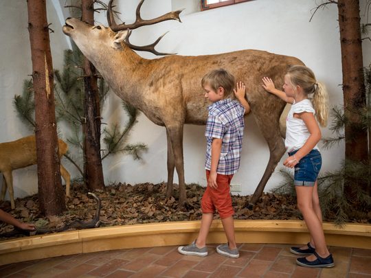 Kinder vor Hirsch bei Natur auf der Spur in Lackenbach