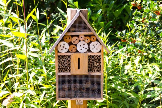 Insektenhotel vor Pflanzen