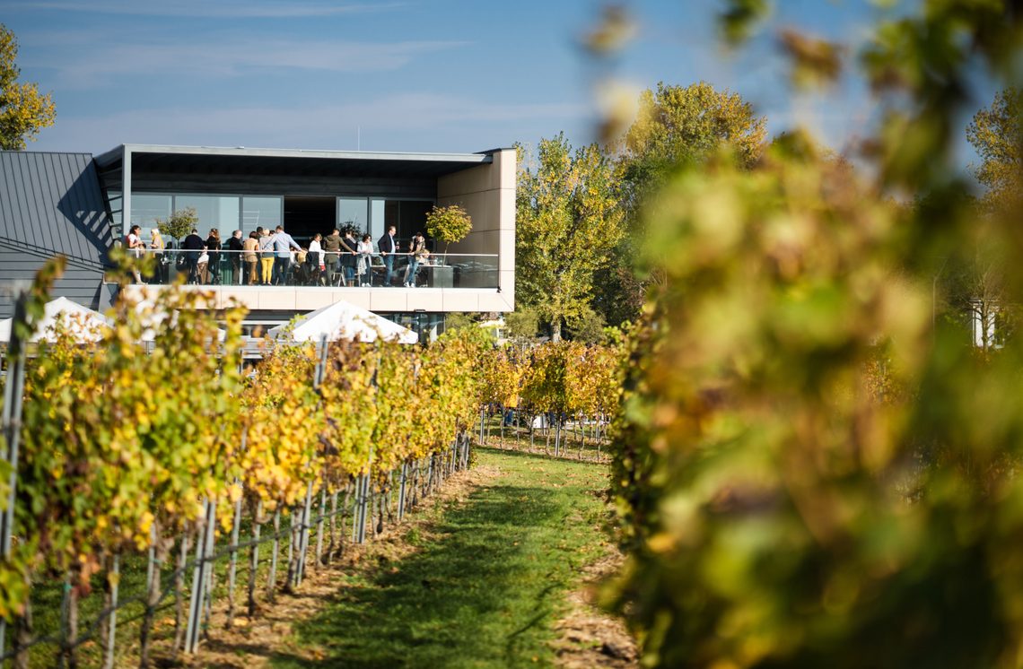 Esterhazy Ihr Event / Gruppenpakete