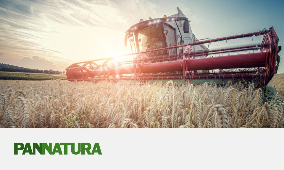 Esterhazy talentgesucht Jobs bei Esterhazy