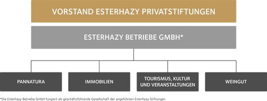 Übersicht über die Unternehmensbereiche