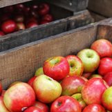 Rote und grüne Äpfel in brauner Holzkiste