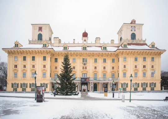 Schloss Esterházy im Winter