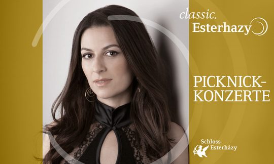 Picknickkonzerte mit Chen Reiss