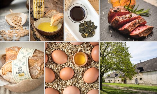 Photocollage Brot Eier Fleisch Kürbiskerne